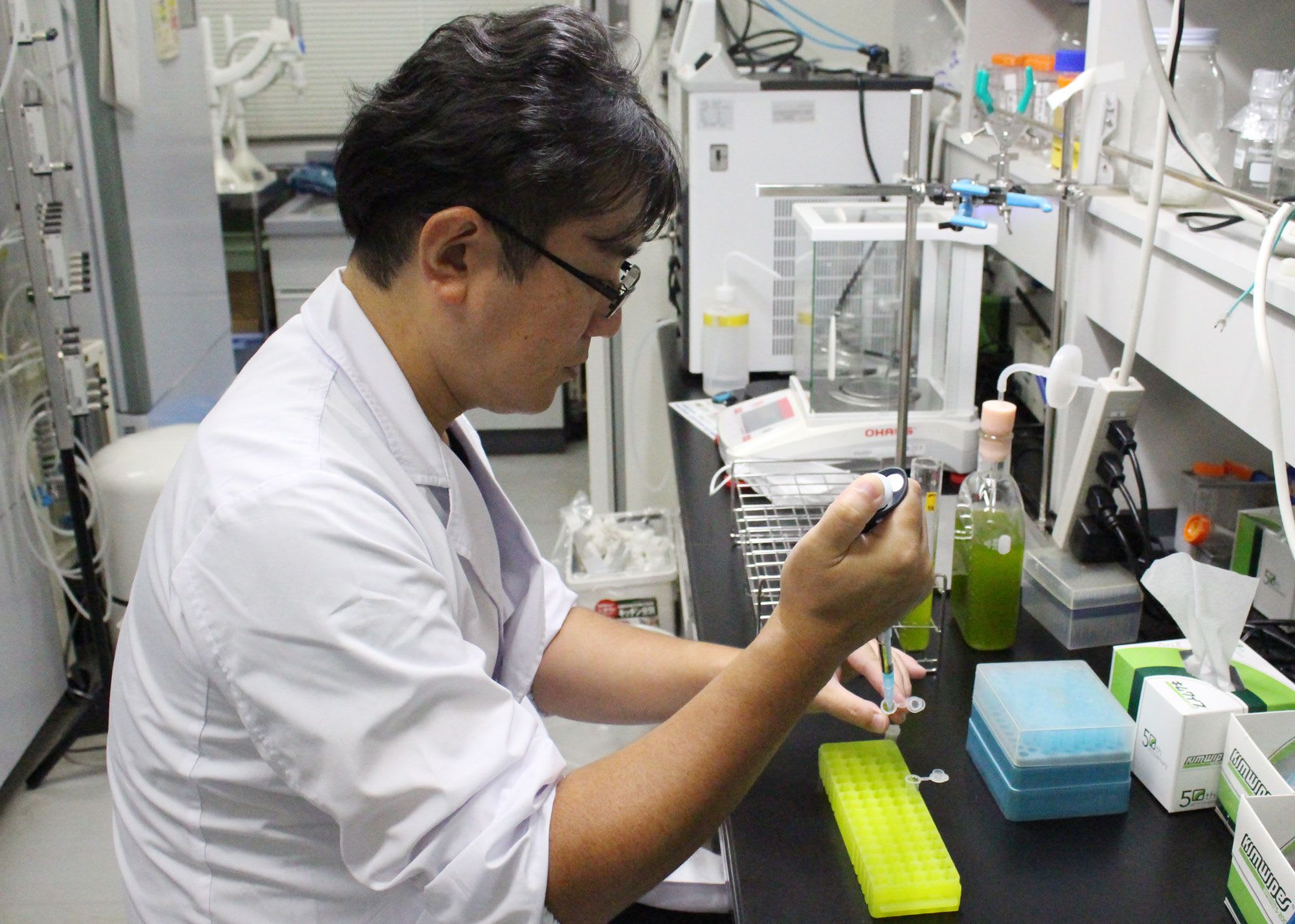 Scientist working on biofuels in a lab