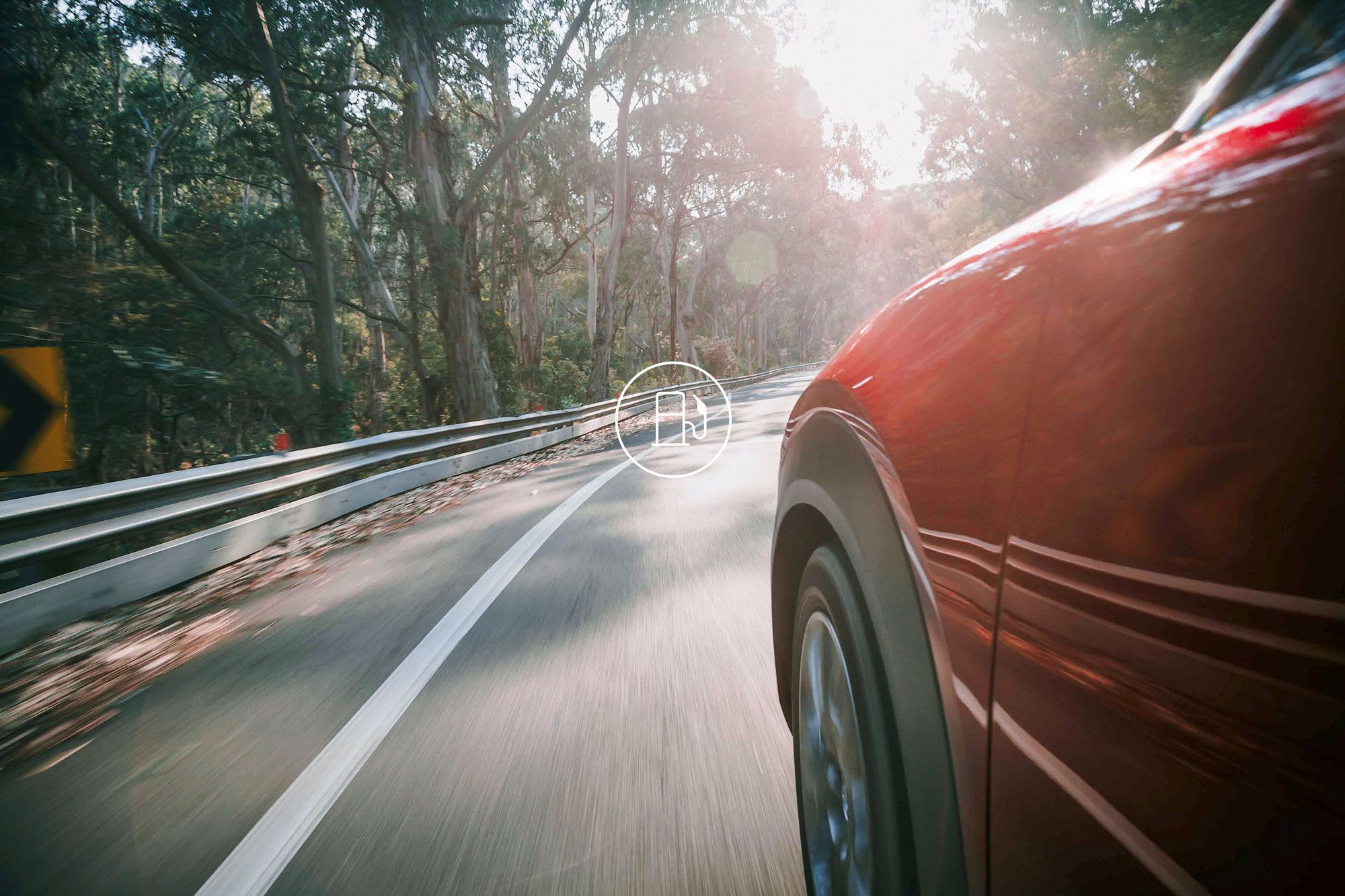 Close up of the front side of a red Mazda car seen driving through a forrest