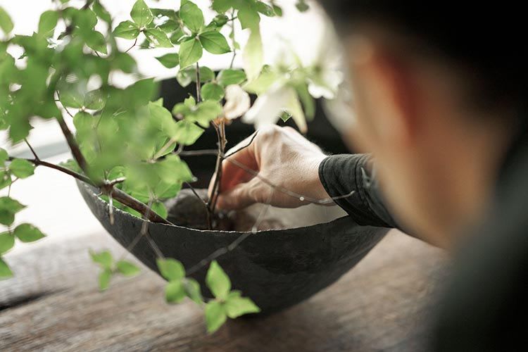 Close up of a man tending to his potted plant