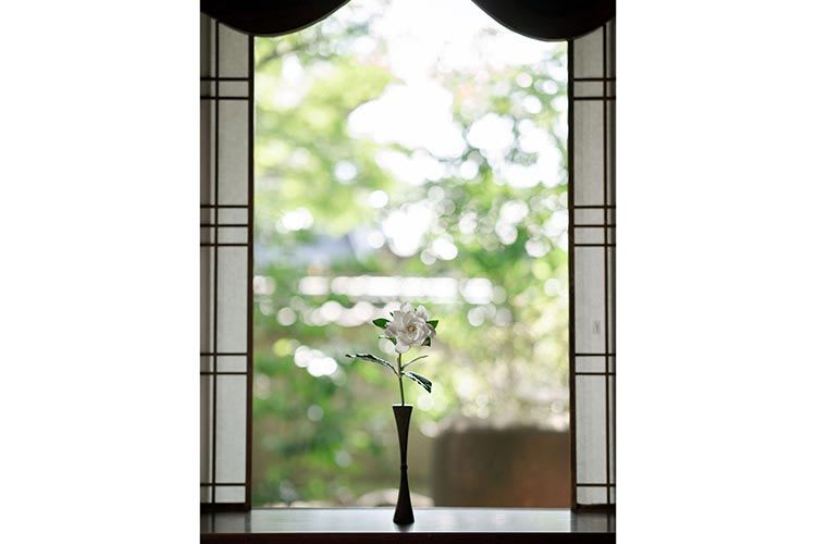 Flower in a skinny black vase sitting on a window sill