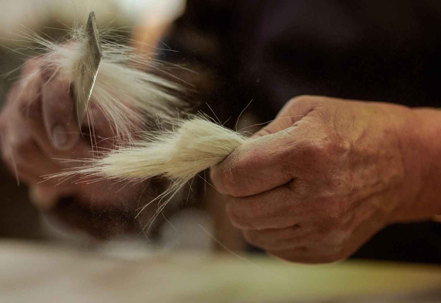 The tips of uncut animal hair are perfectly shaped and soft to the touch, so only the first haircut is used for brushes.