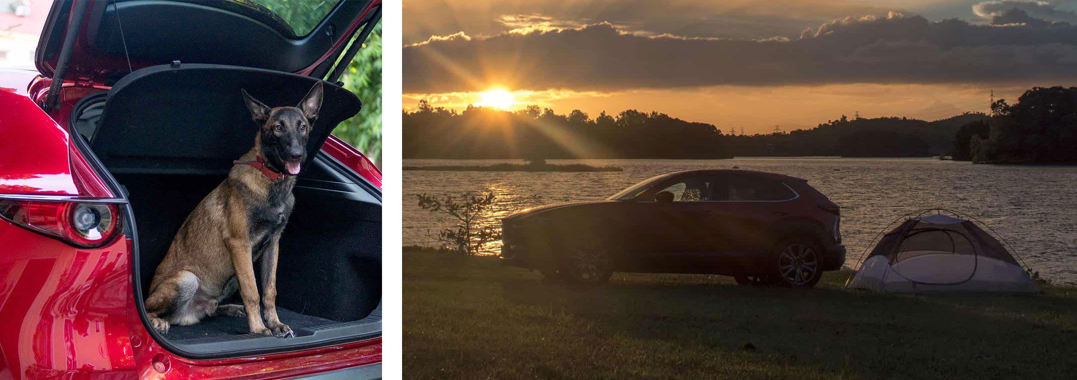 Photo collage of a dog in the open boot of a Soul Red Mazda CX-30 SUV and a side view of a Soul Red Mazda CX-30 parked next to a lake at sunset