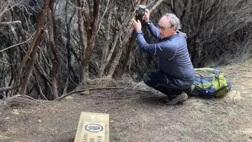 Man in bushland working towards reintroducing Kiwi birds on Arapaoa Island 