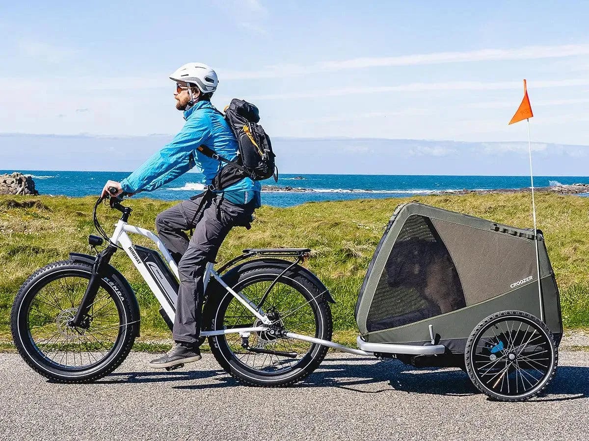 Himiway Cruiser ST detalj