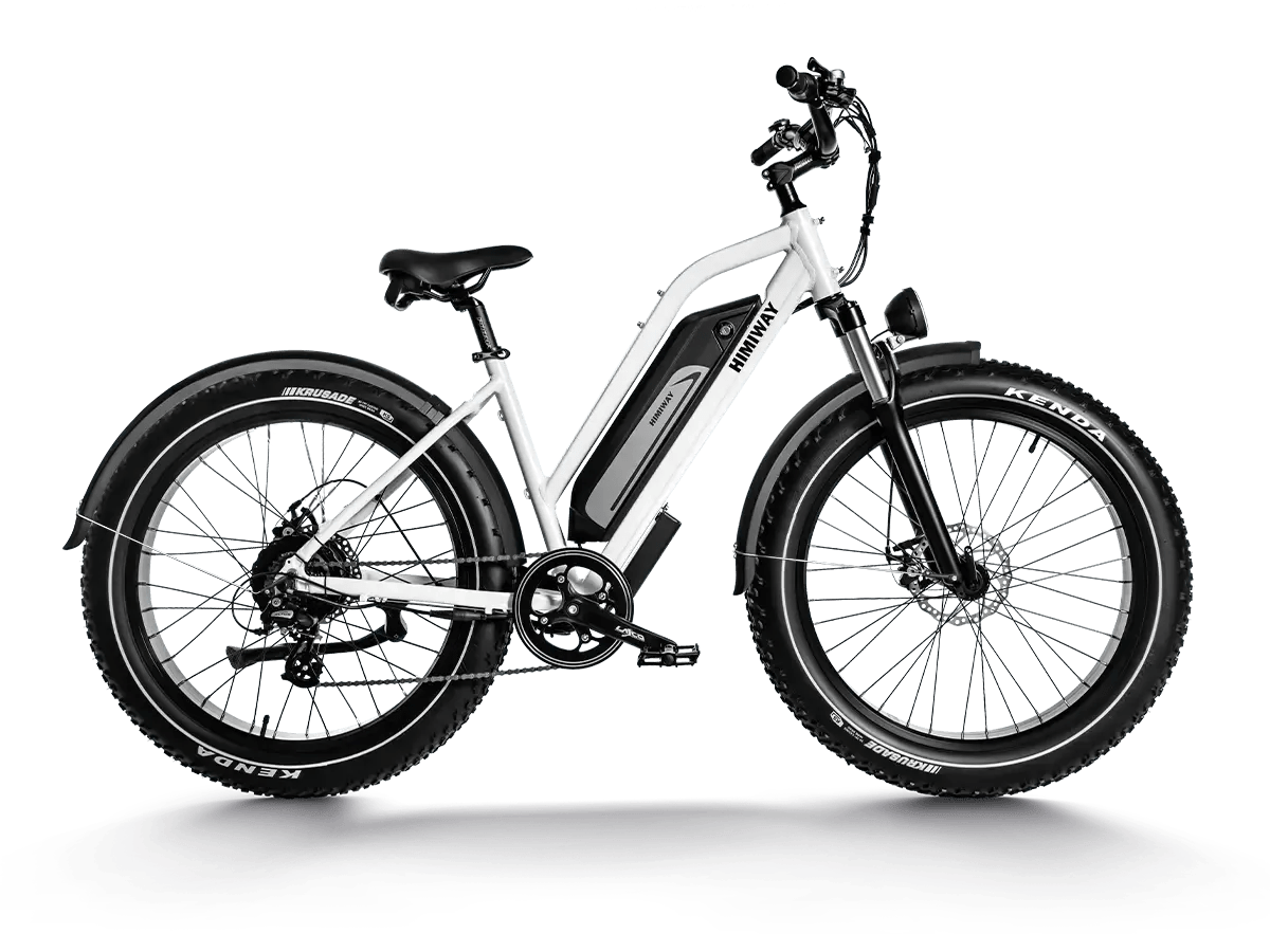 Himiway D3 ST (Cruiser ST) 750W (Peak 1200W) Fat Tire 48V 15Ah Samsung/LG
