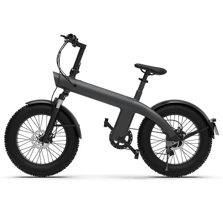 HX Q3 fat tire e-bicikl 750W, 20×4.0"