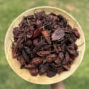 Naga, Dried king chilli  2