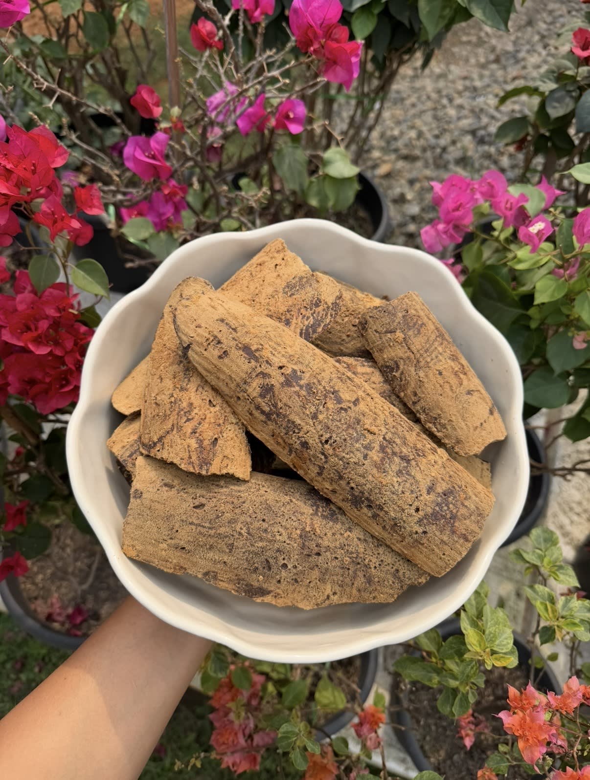 Jaggery 