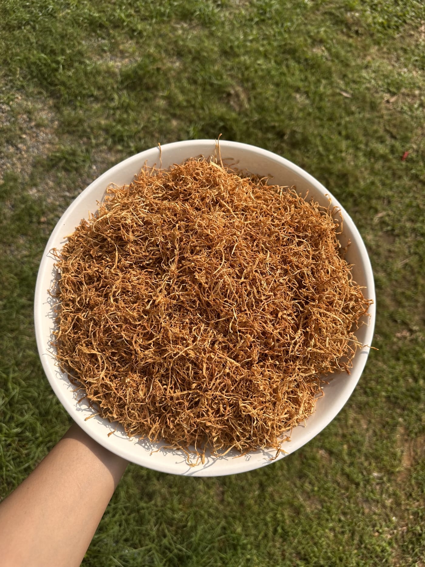 Dried bamboo shoot