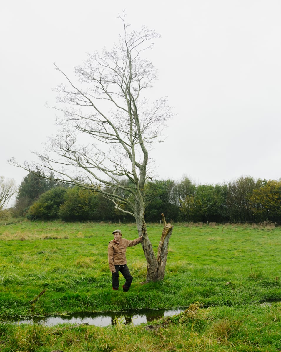 Når jeg ser et egetræ, kan jeg ikke lade være med at tænke på, hvor