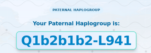Paternal haplogroup badge showing lineage Q1b2b1b2-L941