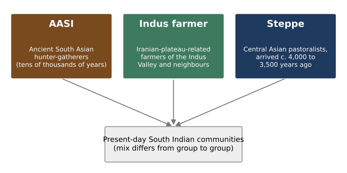 The three ancestral sources behind most South Indian populations.