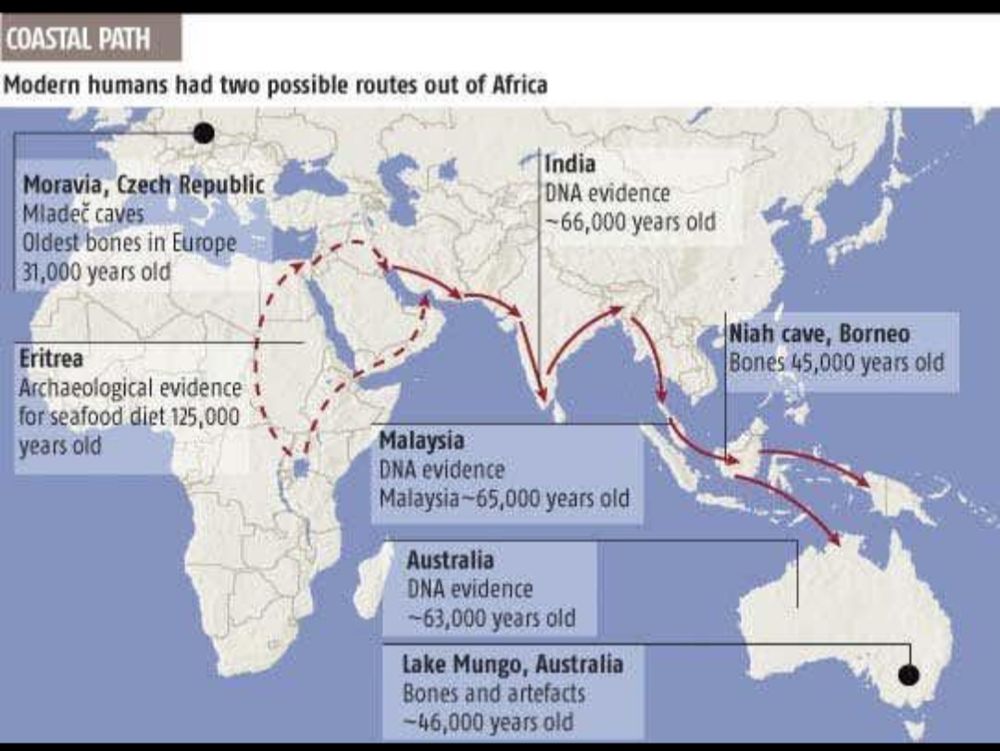 Figure 1. Two proposed routes out of Africa, with a southern coastal route passing through India. The dates on this map come from older studies; recent genome analysis places the main migration into India at about 50,000 years ago [1].