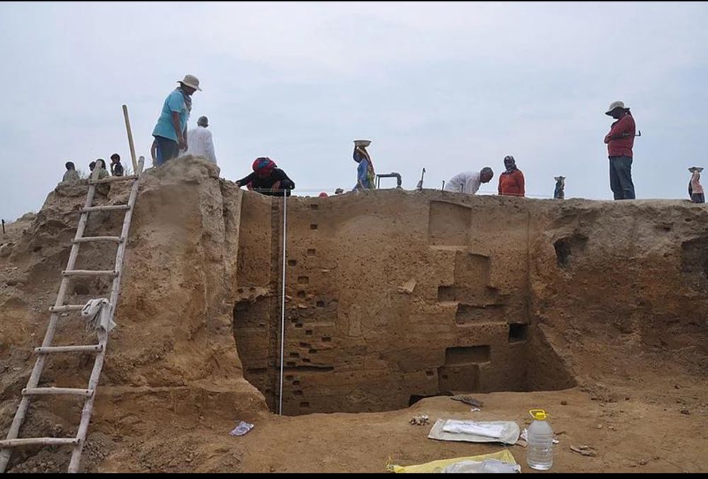 Figure 4. Excavation at a Harappan site in north-west India. Rakhigarhi in Haryana produced the first genome from an Indus Valley burial [9]. 