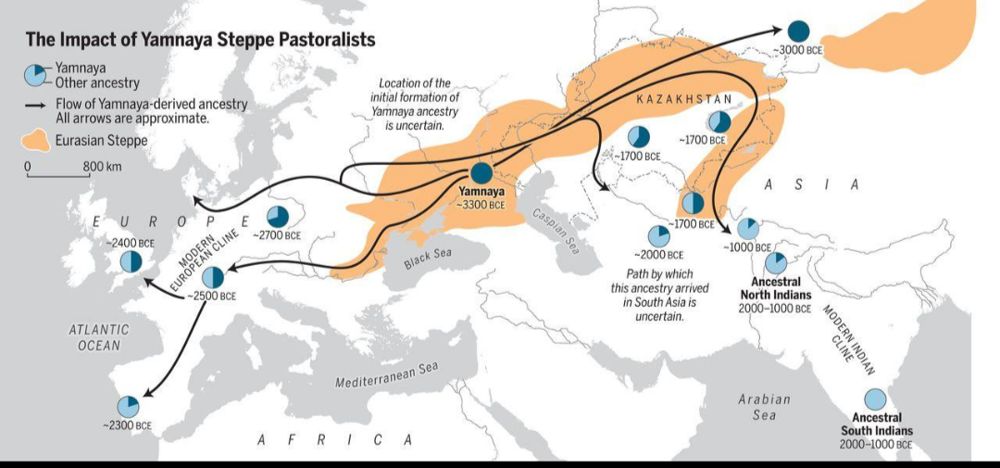 Figure 6. The spread of ancestry from Yamnaya steppe herders into Europe and South Asia. Pie charts show the share of Yamnaya ancestry; the route into South Asia is uncertain. Source: Narasimhan et al. (2019) [8].
