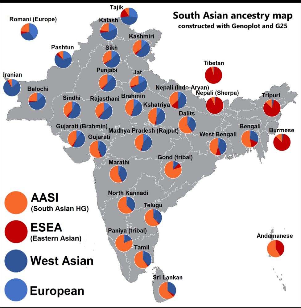Figure 8. An amateur ancestry map of South Asian populations, made with the Genoplot and G25 tools, not a peer-reviewed study. It shows the general pattern described here: AASI, West Asian and East Asian ancestry in different proportions across regions. The categories and percentages depend on the model used.