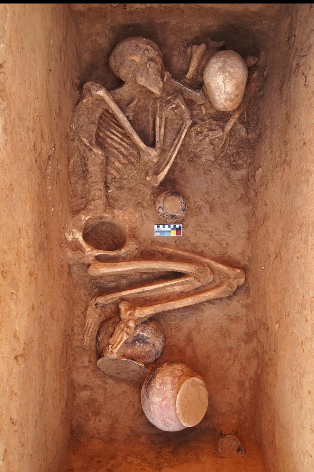 Figure 6. A Bronze Age burial with pots left as grave goods. Ancient genomes come from skeletons like this one.