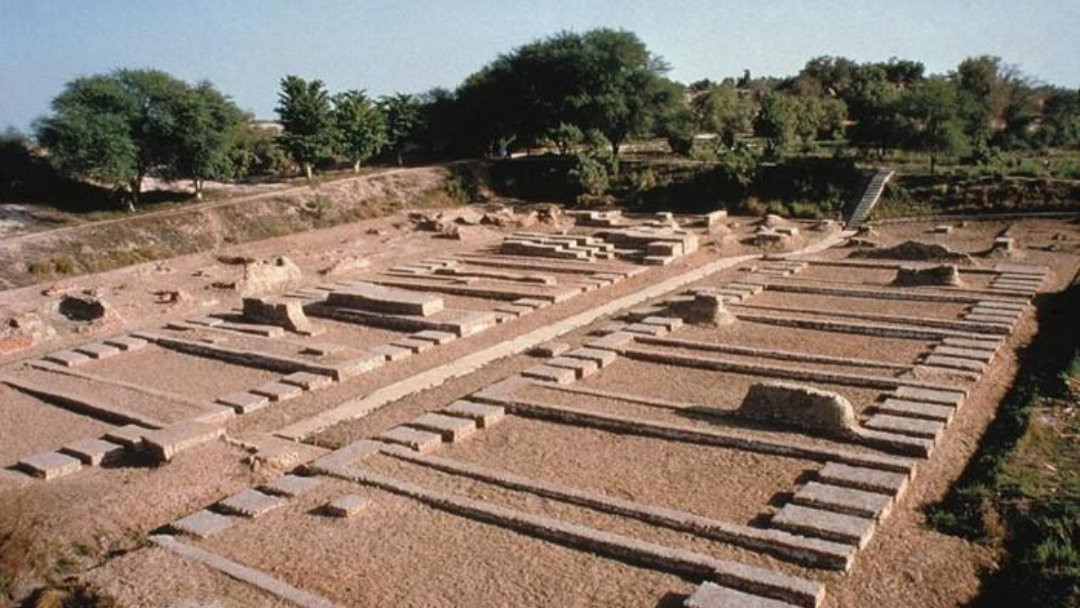 Figure 3. The brick platforms at Harappa that Mortimer Wheeler called the Great Granary. What the building was used for is still debated.