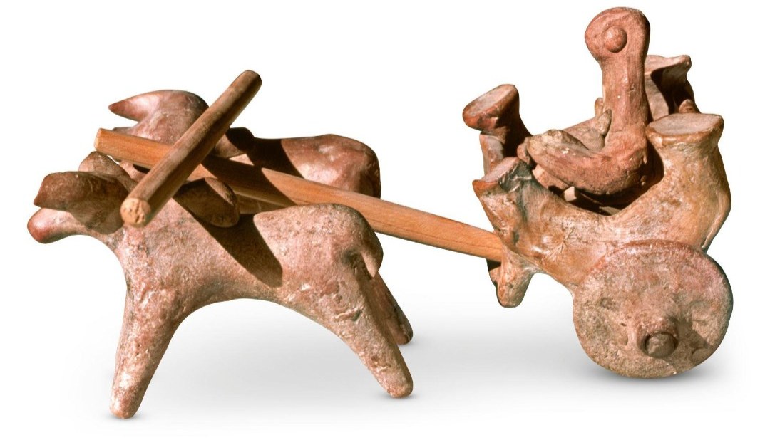 Figure 1. A terracotta toy cart pulled by two bulls, of the kind found in Indus towns. The wooden pole and yoke are modern replacements.