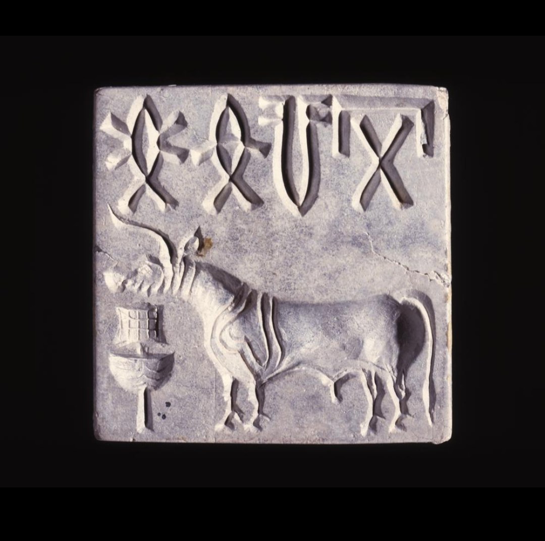 Figure 8. A square stone seal with a "unicorn" and a line of Indus signs. Nobody has yet been able to read them.