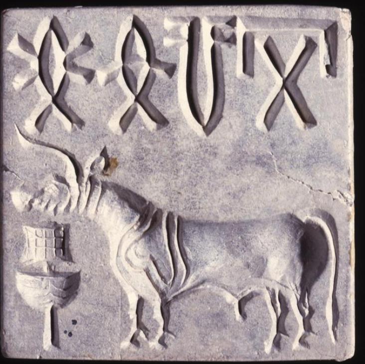 What happened to the Indus valley people?