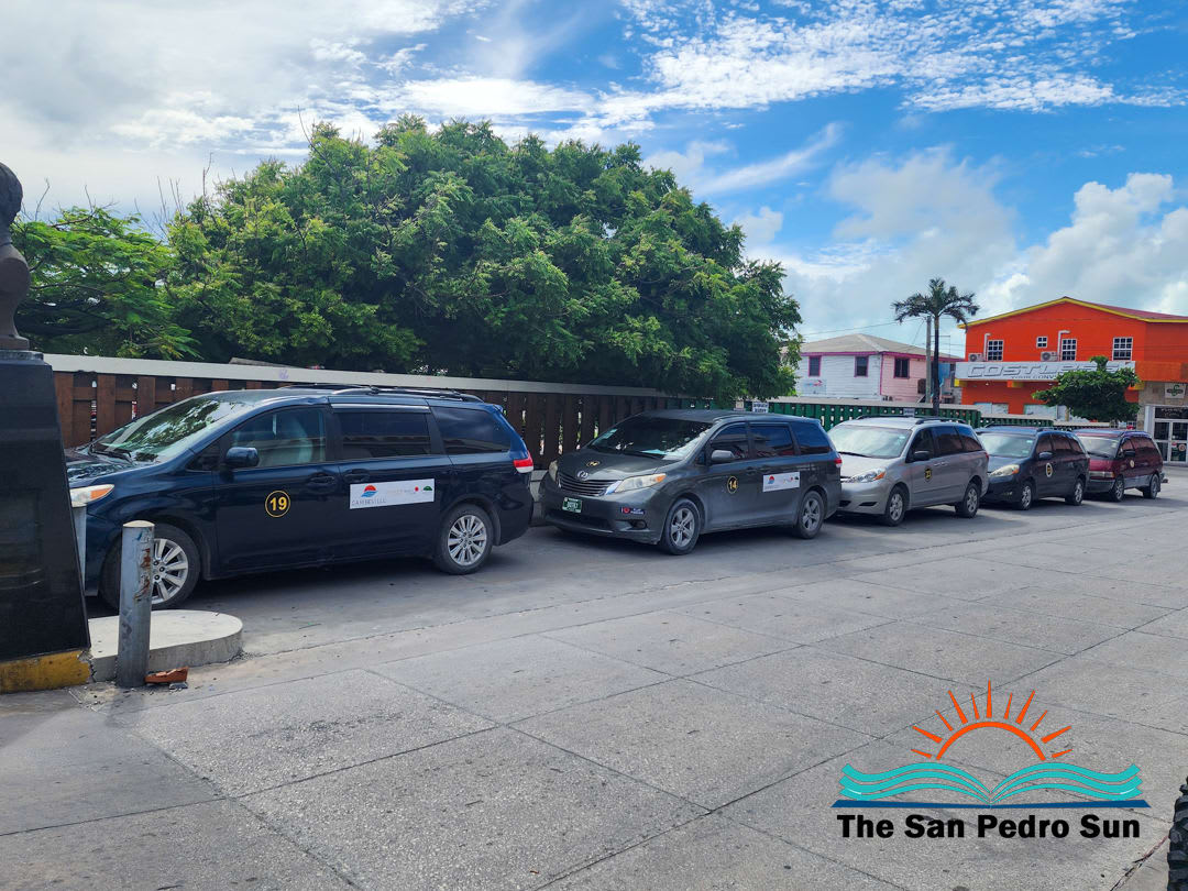 Taxi Group Objects to Public Transport Airport Pickups