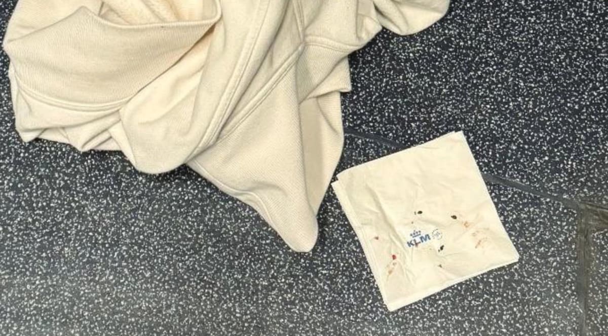 KLM and Delta Face $200,000 Lawsuit Over Alleged Bed Bug Infestation