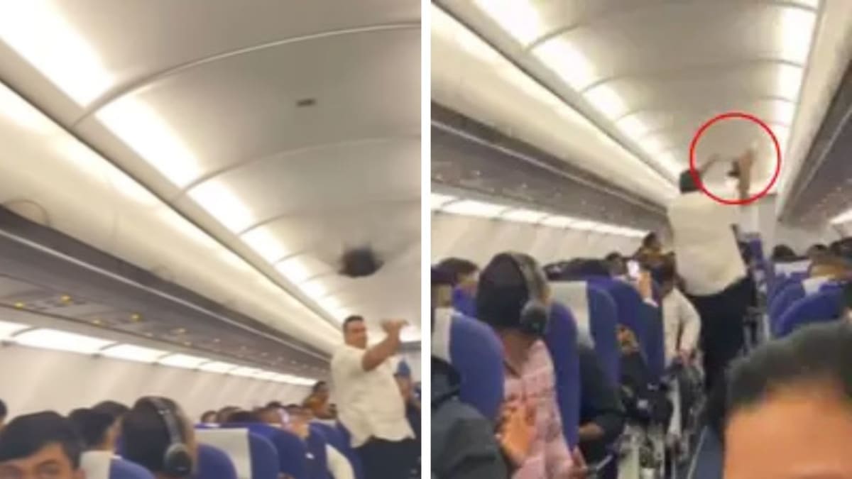 IndiGo Flight Experiences Viral Pigeon Intrusion During Week of Major