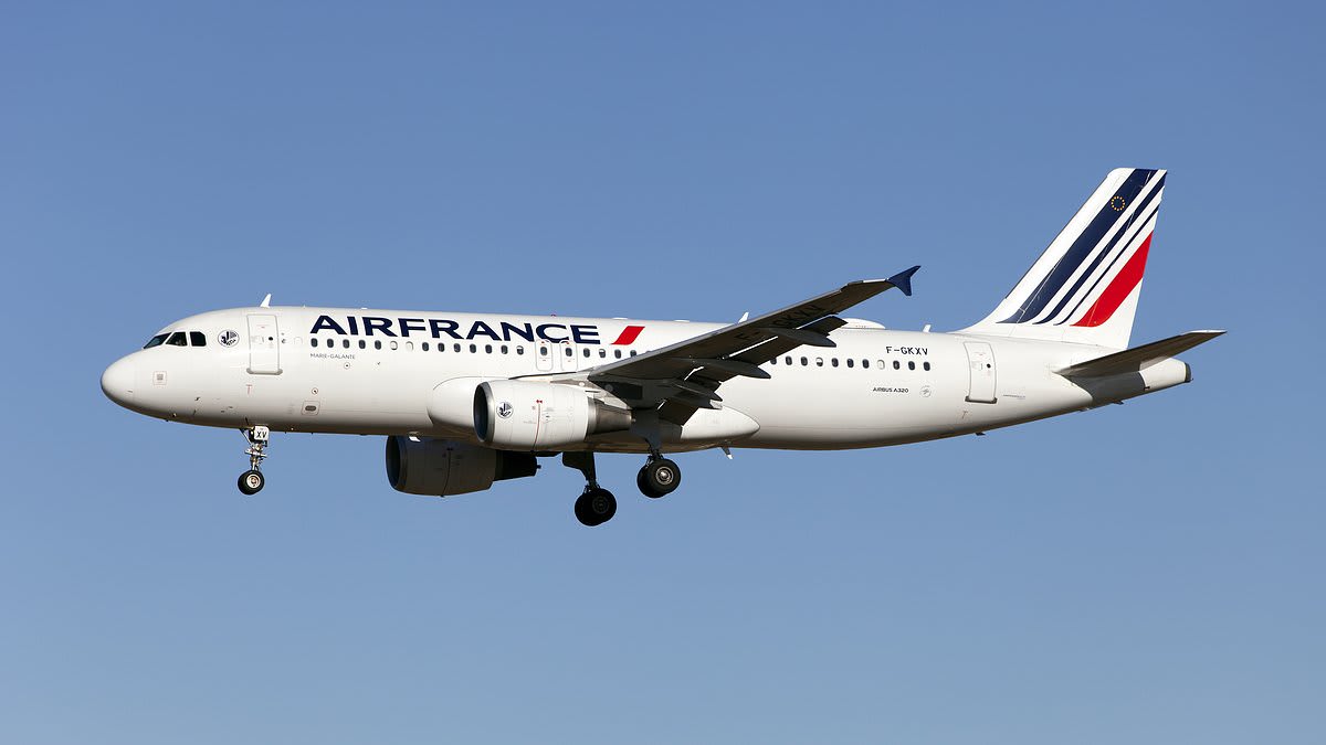 Air France Airbus A320 Engine Failure Forces Emergency Diversion to Lyon