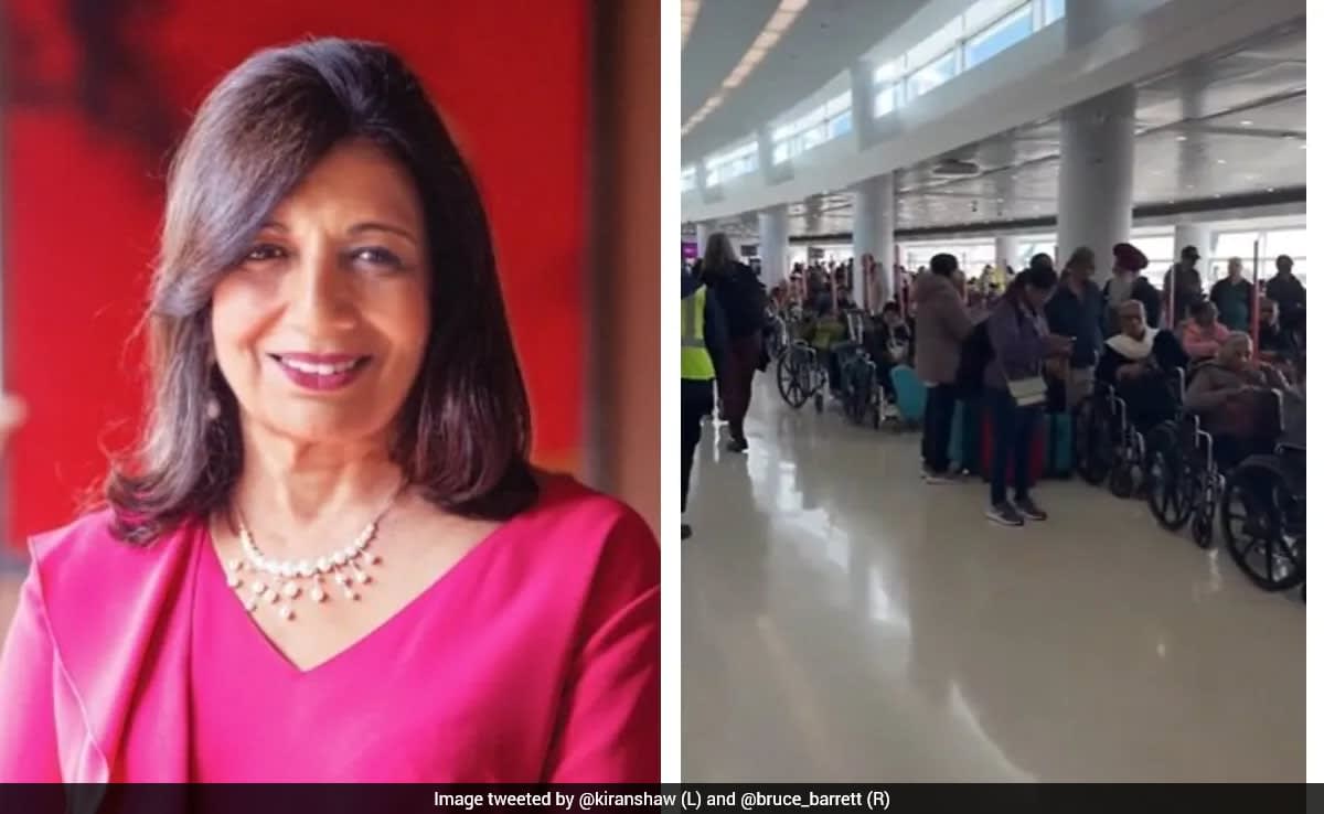 Kiran Mazumdar-Shaw Calls For Rs 5,000 Fee For Wheelchair Misuse At Airports