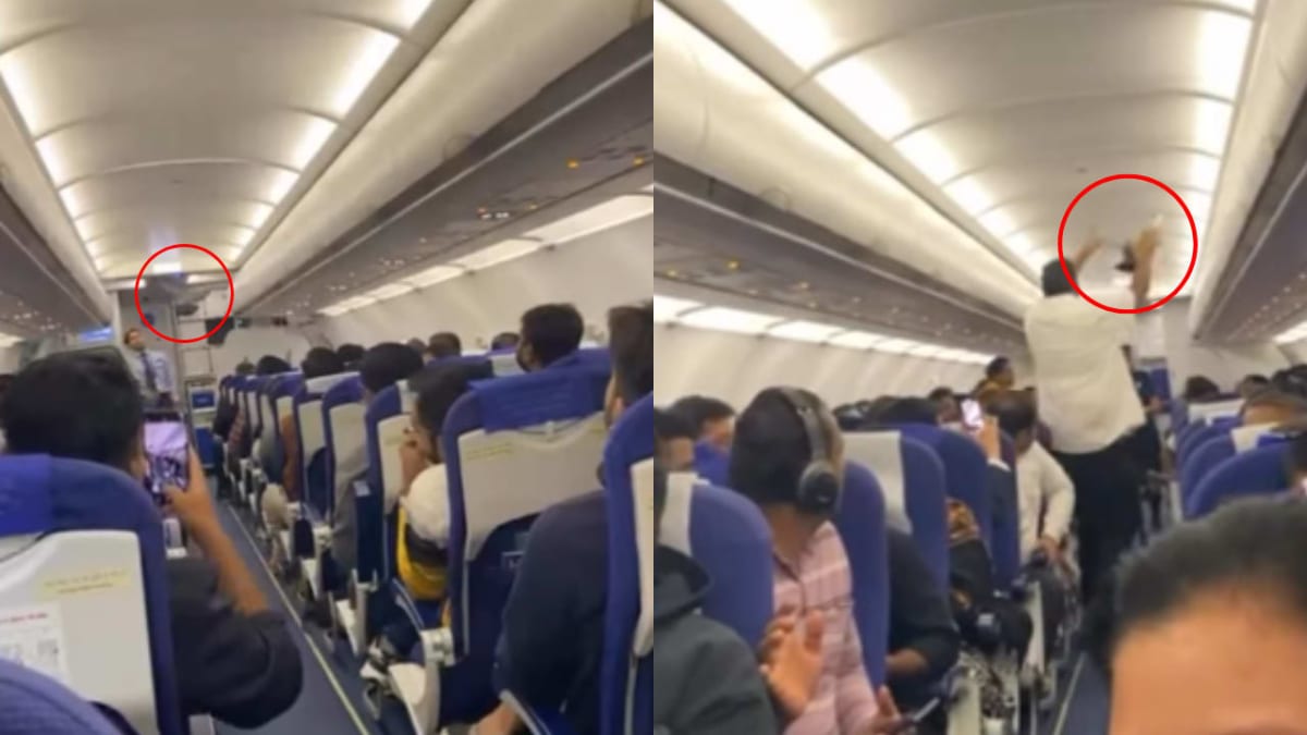 Pigeon Causes Commotion on IndiGo Bengaluru-Vadodara Flight Amid Delays