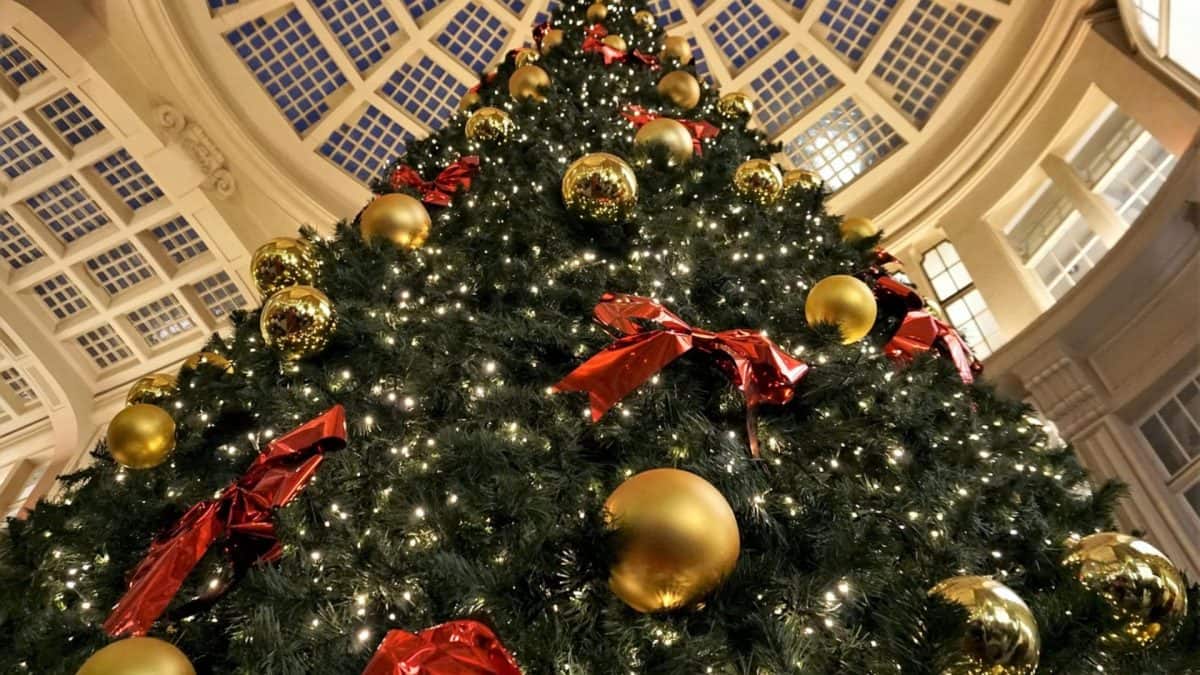 Will European Airport Strikes Ruin Your Christmas Travel Plans?