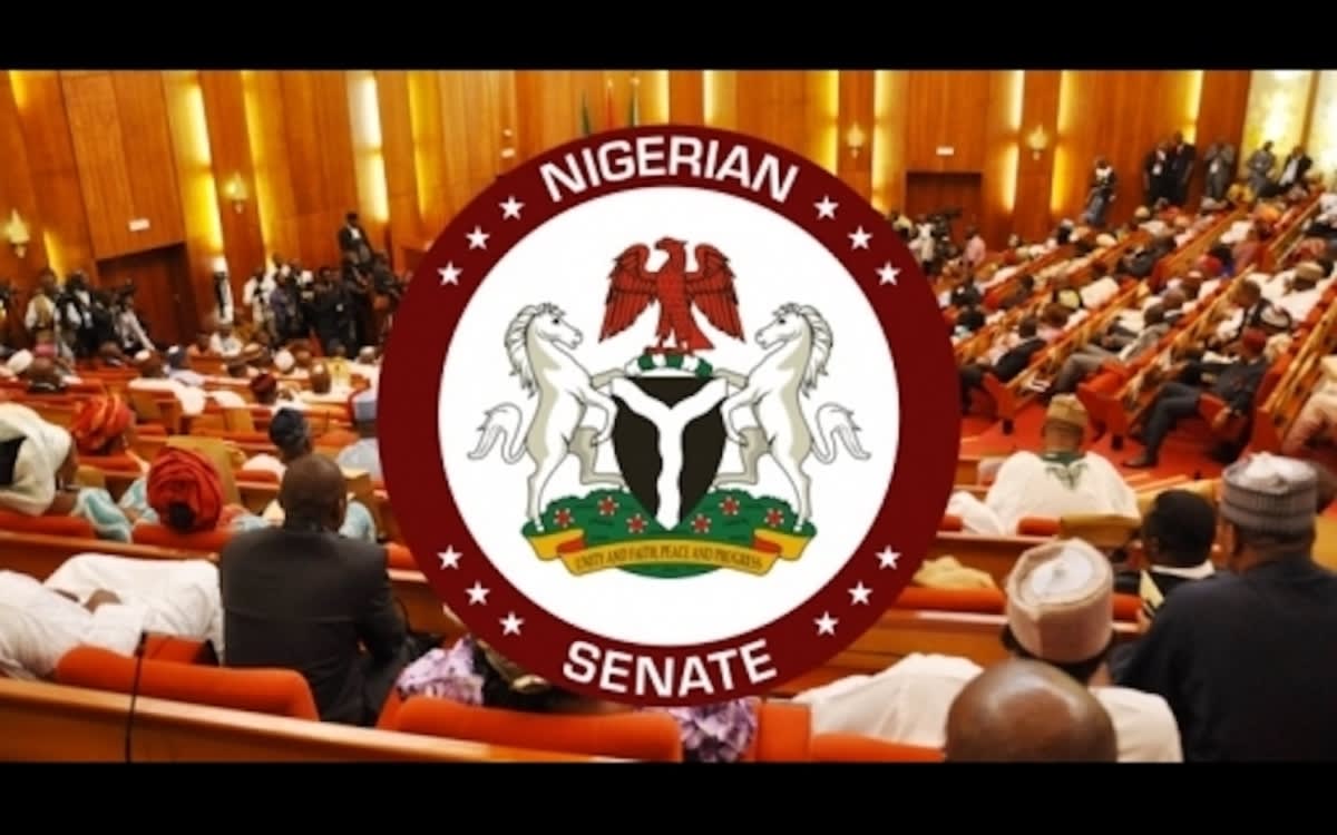 Nigerian Senate summons aviation chiefs over soaring domestic air ticket prices