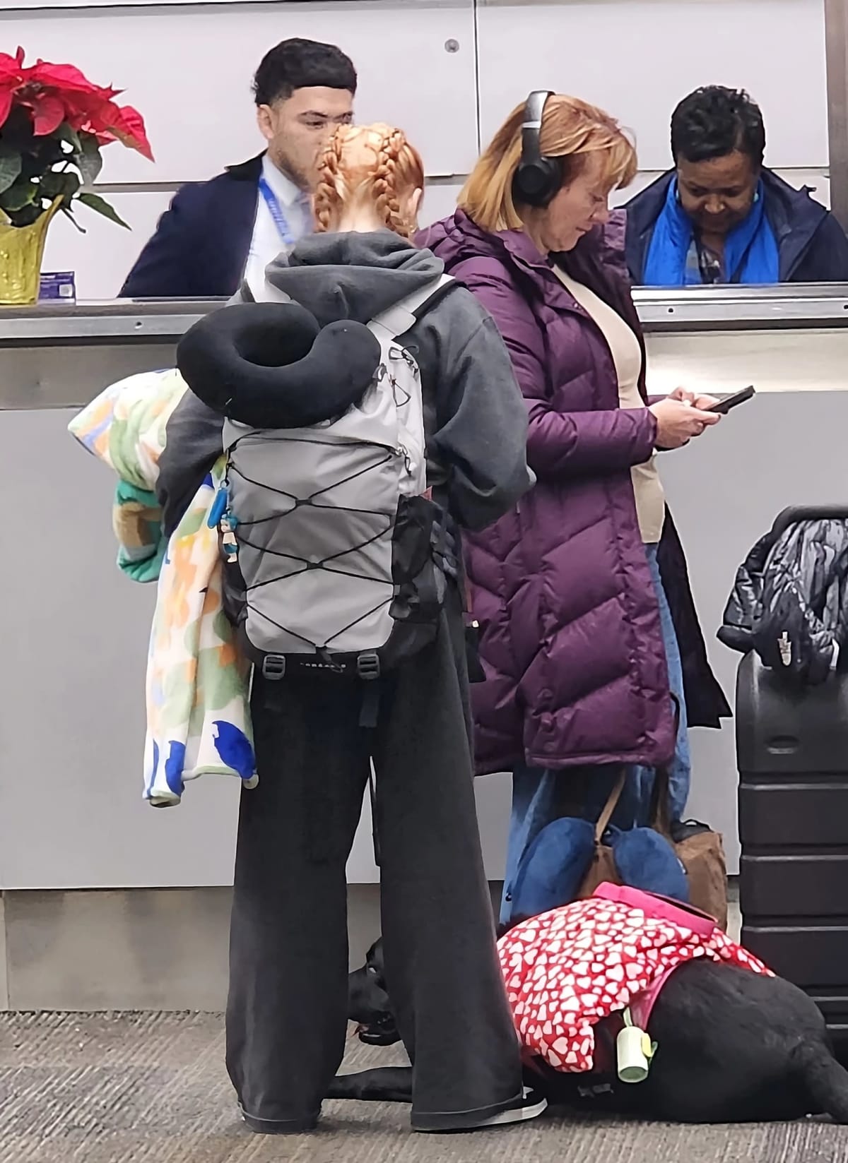 Police Intercept United Airlines Flight in Denver After Alleged Service Animal