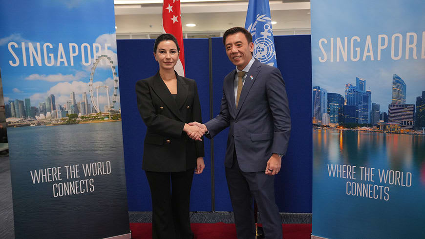 Georgia, Singapore discuss direct flight links, transport cooperation