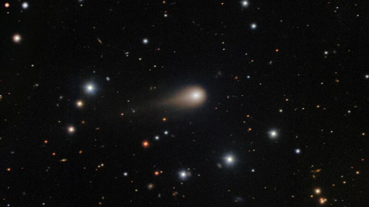 3I/ATLAS Trajectory: Harvard Scientist Claims Object Is Sending Spy 'Satellites'