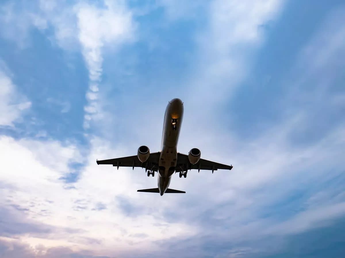 All Nippon Airways offers free Japan domestic flights for UK/Europe