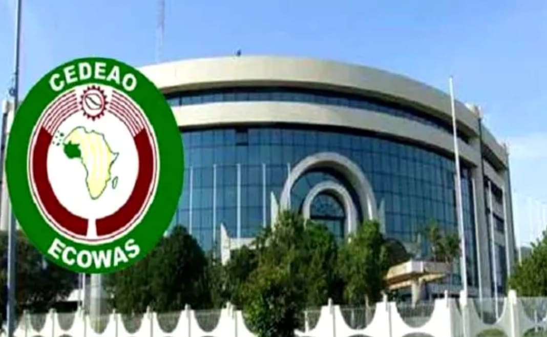 ECOWAS to abolish air travel taxes and cut fees by 25% starting January 2026