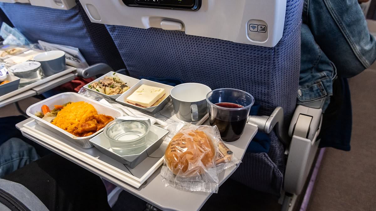 Cabin crew veteran warns passengers to avoid unsealed airline meals and salads