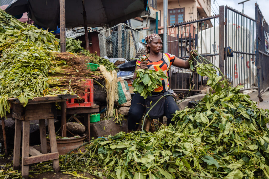UAE Expands Africa Trade, Leveraging Aviation for Growth and Food Security