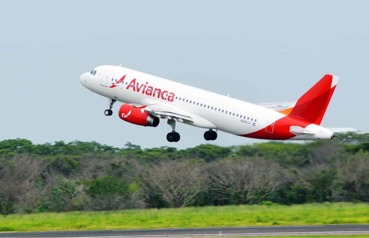 Avianca Grounds Airbus A320 Fleet Over Software Flaw, Impacting Central America
