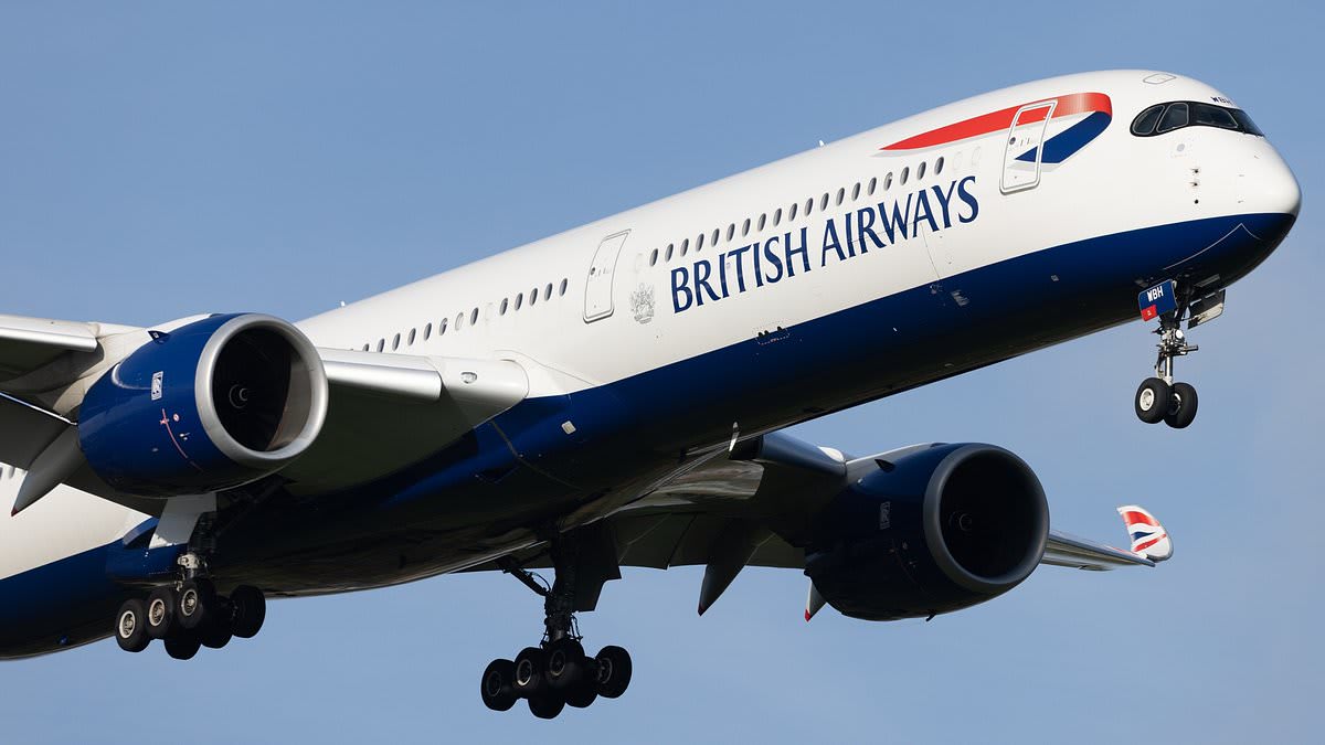 BA owner eyes slice of Portuguese airline TAP