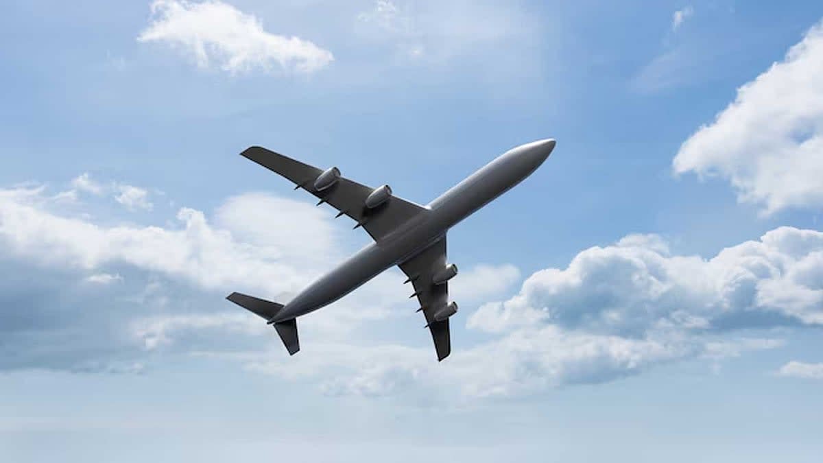 Airlines Need To Be Properly Rewarded, Says IATA Chief Amid Supply Chain Woes