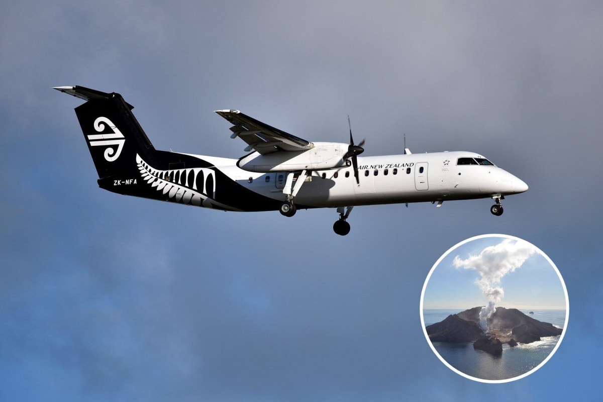 Air New Zealand Faces Scrutiny Over Tauranga Flight Cancellations Amid White