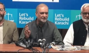 Why is Pakistan International Airlines' privatization called a 'strategic mistake'?