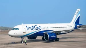 IndiGo Flight from Kolkata Suffers Bird Strike Near Hyderabad; What Happened Next?
