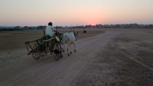 Why is India's Defence Ministry surveying land for the Adilabad Airport?