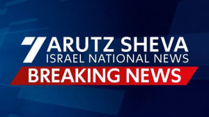 Red Wings Flight to Moscow Diverts Back to Ben Gurion After Technical Issue