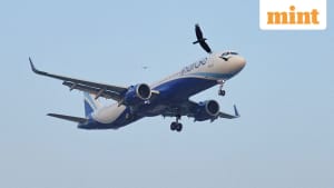 IndiGo Hit Record Passenger Traffic in November Before December Meltdown