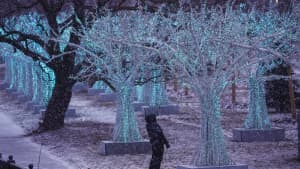 How Global New Year's Travel Shift to 'Reset' is Driving Airline Route Expansion